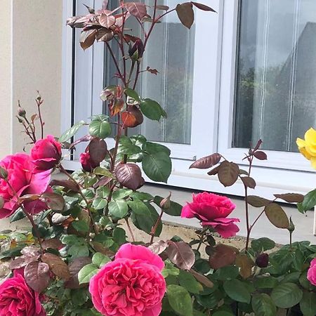 Chambre Chez L'Habitant "Les Roses De Sene" Exterior foto
